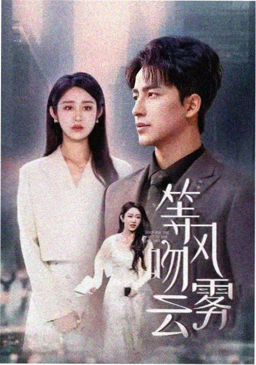 秘密森林 韩国电视剧高清在线观看