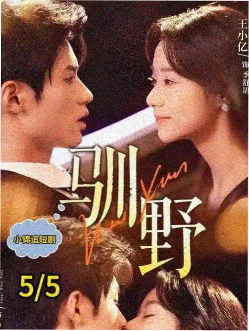 火车 韩国电视剧高清在线观看
